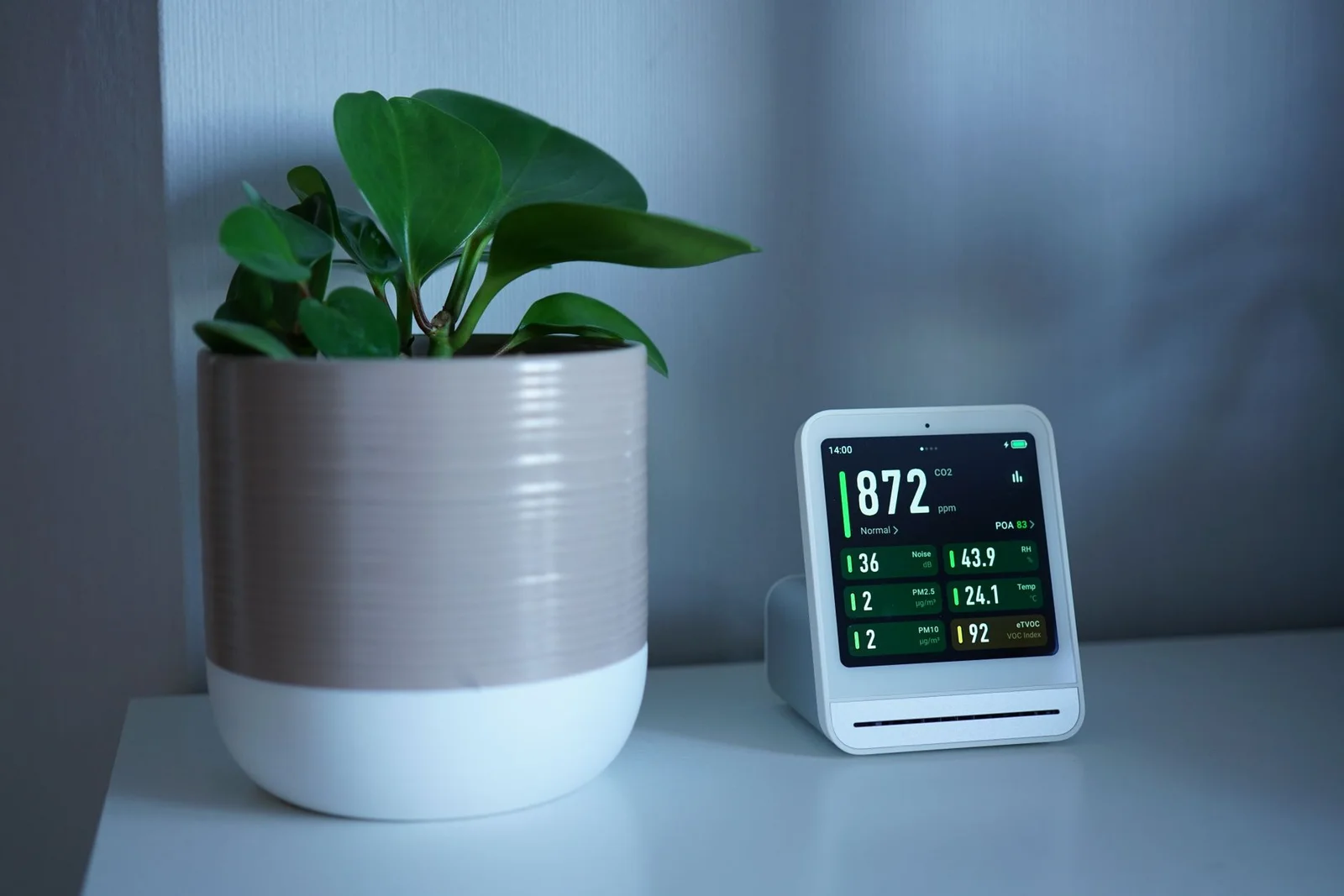 What an Indoor Air Quality Visit Covers, Coast to Canyon